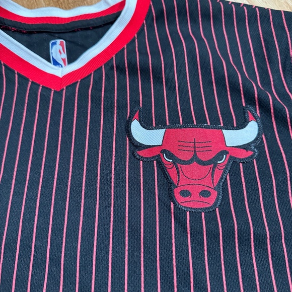 Vintage NBA Chicago Bulls #66 pullover Jersey Pinstripe Mens Large L by U - Picture 2 of 5